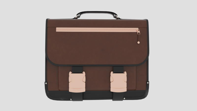 Bag 3D Model .c4d .max .obj .3ds .fbx .stl .blend 