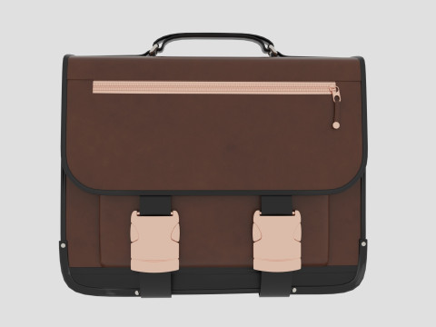 Bag 3D Model