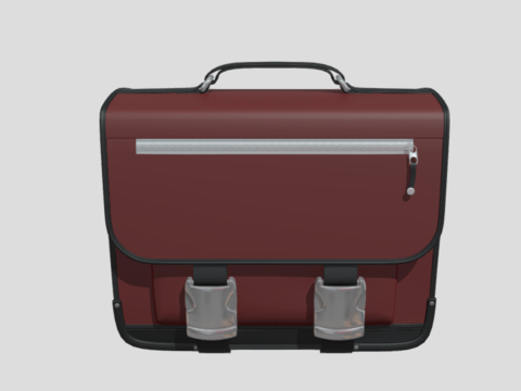 Bag 3D Model