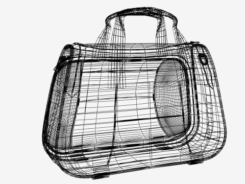 Bag Model 3D