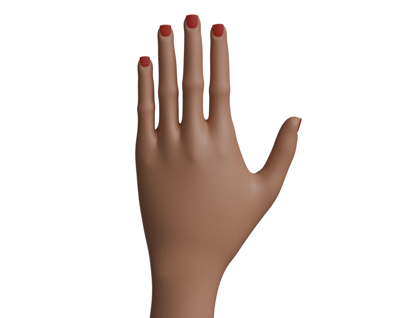 Female cartoon hand Model 3D .c4d .max .obj .3ds .fbx .stl .blend 