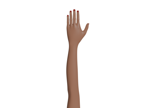 Female cartoon hand Model 3D