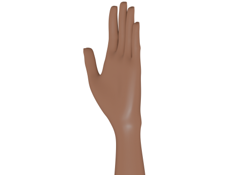 Female cartoon hand Model 3D