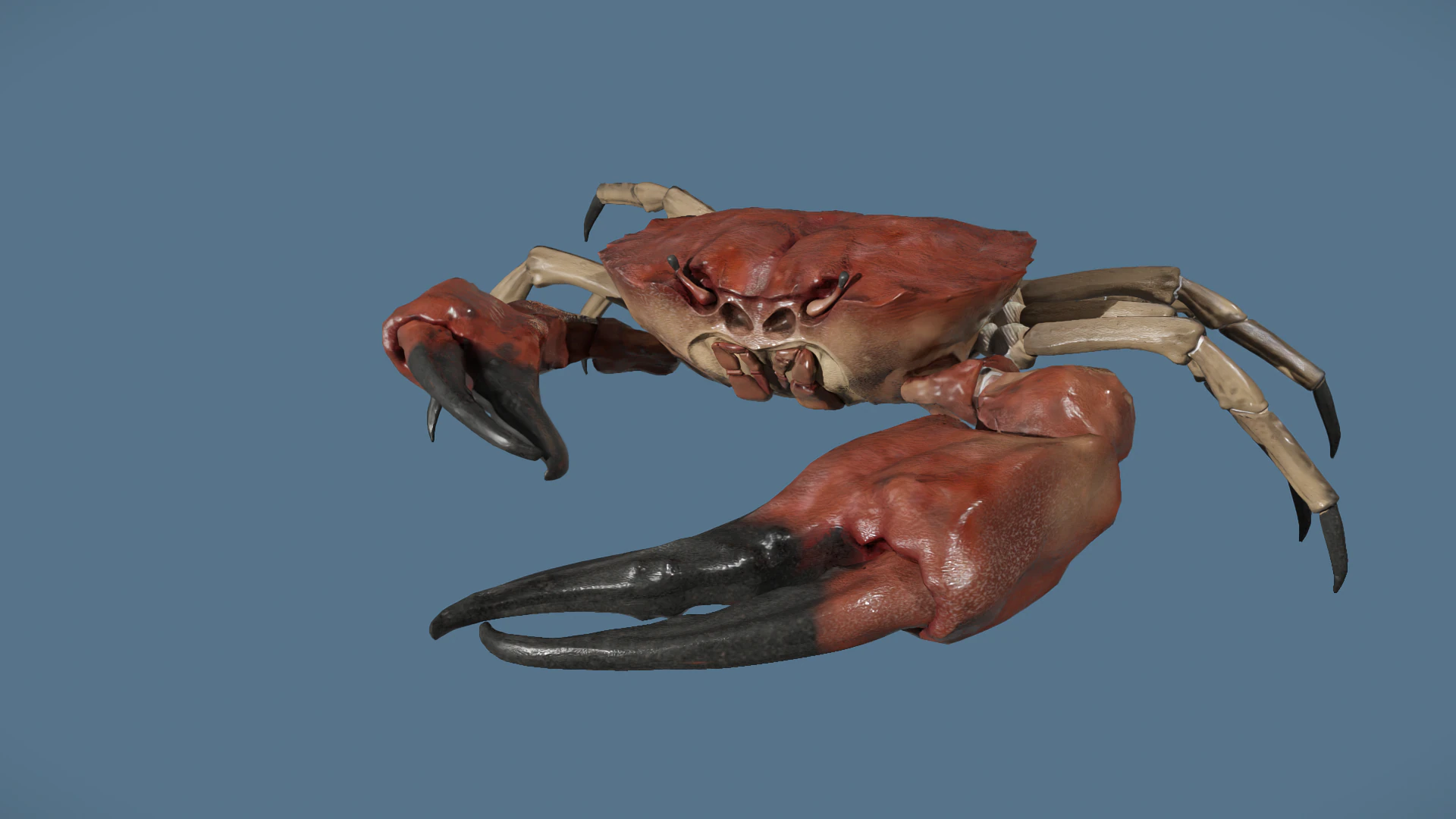 Crab 3D Model .c4d .max .obj .3ds .fbx .stl .blend 