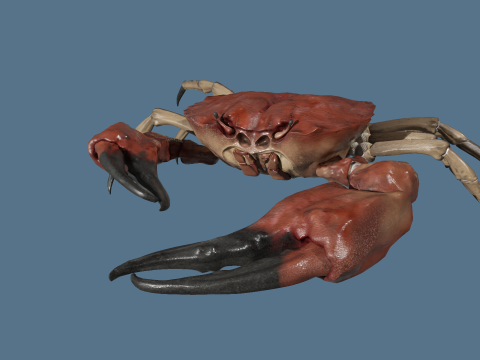 Crab 3D Модель