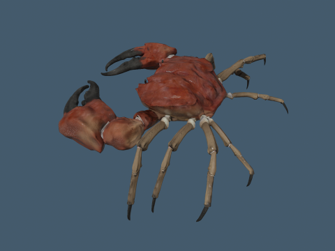 Crab 3D मॉडल