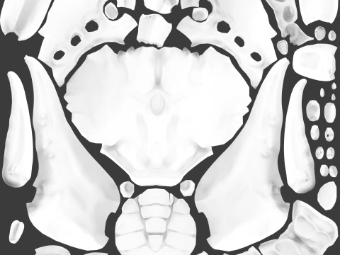 Crab 3D Model
