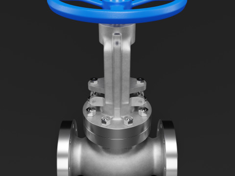 Industrial Valve Model 3D