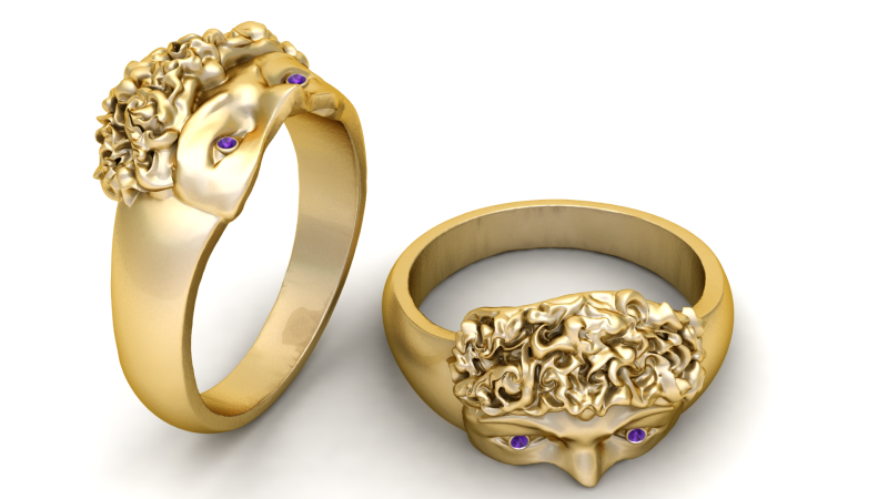 Face Ring 3D 打印模型 .c4d .max .obj .3ds .fbx .stl .blend
