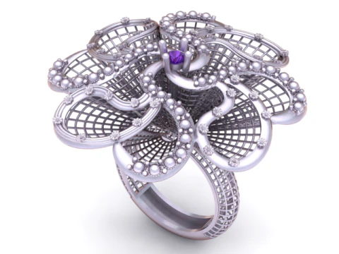 Ornate ring 3D design 3D Print Model