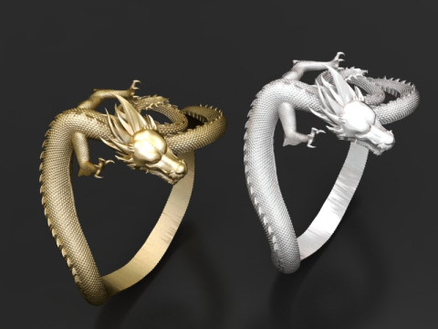 Dragon bracelet 3D 프린트 모델