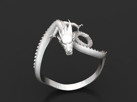 Dragon bracelet 3D 프린트 모델
