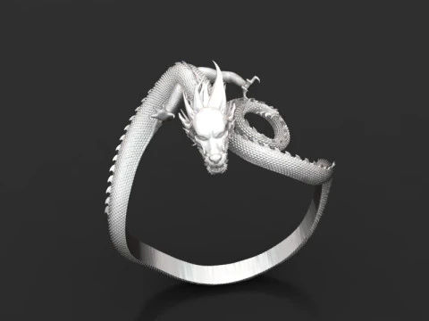 Dragon bracelet 3D Print Model