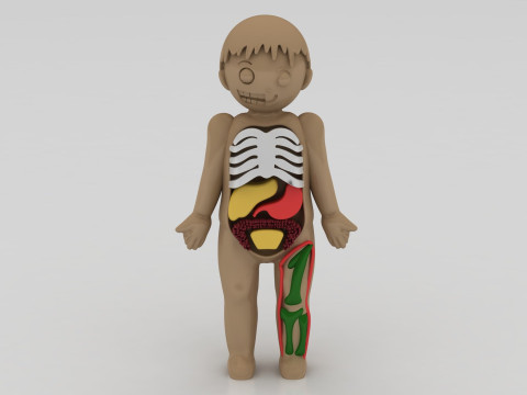 3D anatomy model 3D Принт Модель