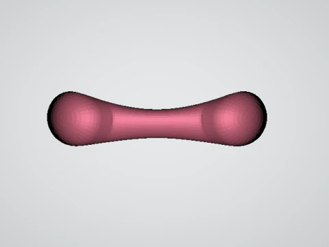 3D bone model 3D Print Model