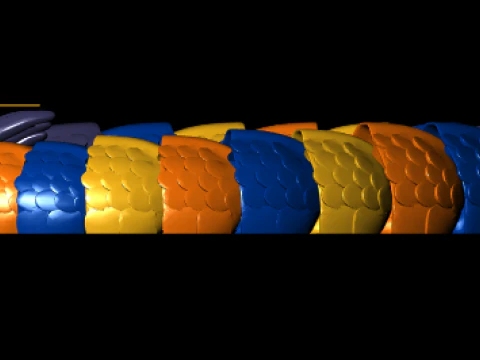 Mystic Chromatic Dragon Coil Fantasy 3D Printable Model 3D Print Model