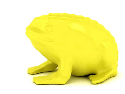 Realistic Frog Set 3D Print Model