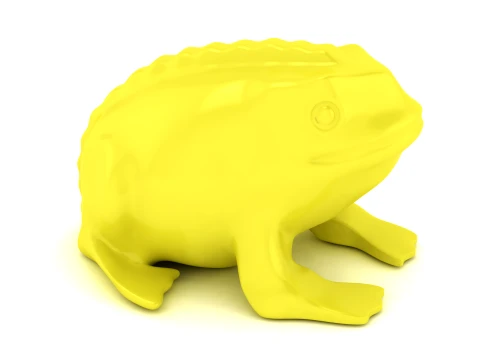 Realistic Frog Set 3D Print Model