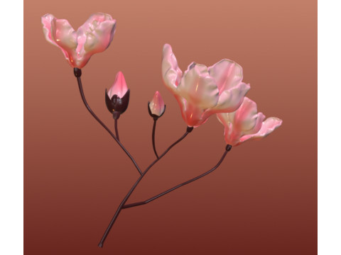YulaniaMagnolia 3D Model