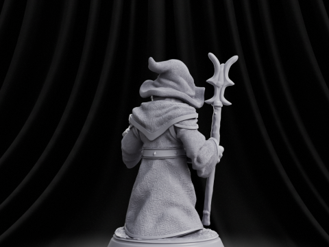 Frog Wizard RPG 3D Принт Модель