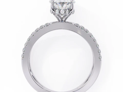 डायमंड के साथ सॉलिटेयर लेडी रिंग का प्रिंट करने योग्य 3डी आभूषण मॉडल 3D मॉडल