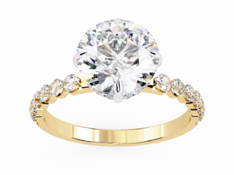 Printable 3D jewelry model of Solitaire Lady Ring with Diamond 3D मॉडल