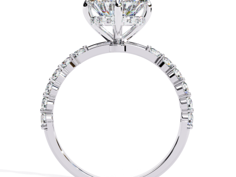 Printable 3D jewelry model of Solitaire Lady Ring with Diamond 3D मॉडल