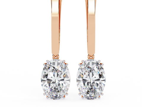 Printable 3D Jewelry design of Earrings with diamonds Model 3D