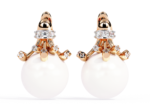 Printable 3D Jewelry design of Earrings with diamonds Model 3D