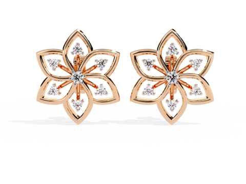 Printable 3D Jewelry design of Earrings with diamonds Model 3D
