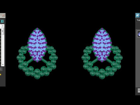 Printable 3D Jewelry design of Earrings with diamonds 3D मॉडल