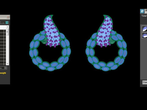 Printable 3D Jewelry design of Earrings with diamonds 3D Модель