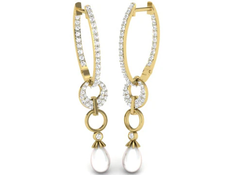 Printable 3D Jewelry design of Earrings with diamonds 3D Model