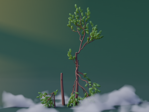 Low Poly Pine Trees Modèle 3D