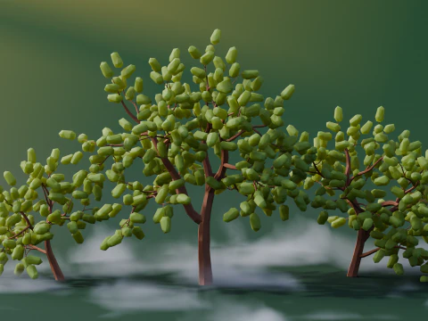 Low Poly Oak Trees 3D Model