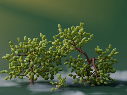 Low Poly Oak Trees 3D Model
