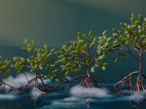 Low Poly Mangrove Trees 3D Model
