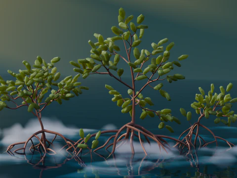 Low Poly Mangrove Trees 3D Model