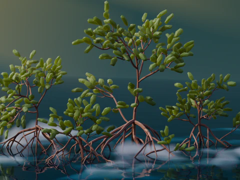 Low Poly Mangrove Trees 3D Model