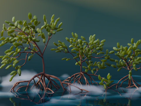 Low Poly Mangrove Trees 3D Model