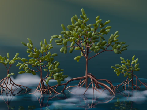 Low Poly Mangrove Trees 3D Model