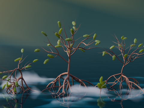 Low Poly Mangrove Trees Modelo 3D