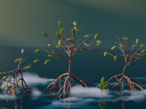 Low Poly Mangrove Trees 3D Model
