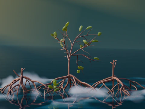 Low Poly Mangrove Trees 3D Model