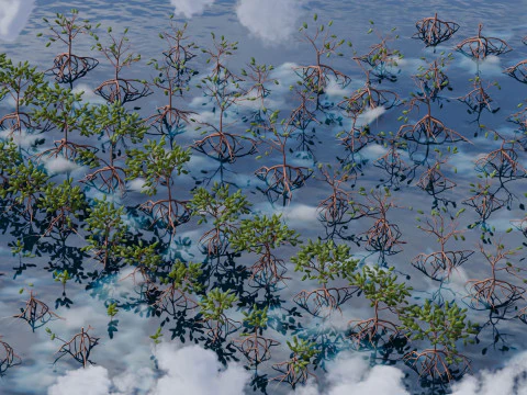 Low Poly Mangrove Trees 3D Model