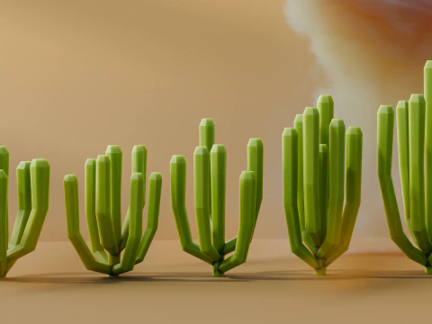 Low Poly Cacti Vol 3 3D Model