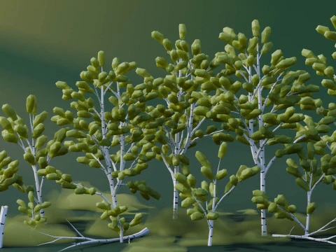 Low Poly Birch Trees 3D Model