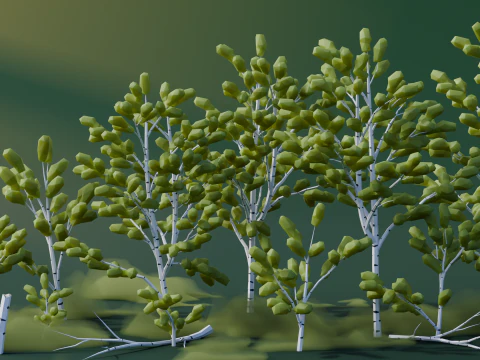 Low Poly Birch Trees 3D Model