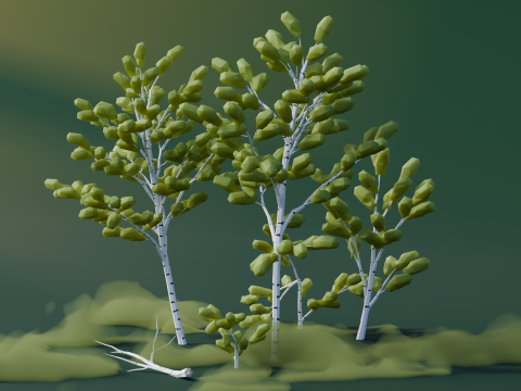 Low Poly Birch Trees 3Dモデル
