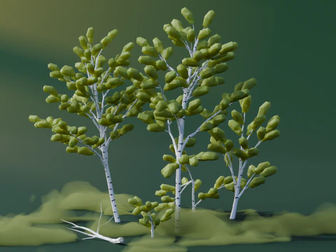 Low Poly Birch Trees 3D Model
